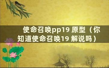 使命召唤pp19 原型（你知道使命召唤19 解说吗）